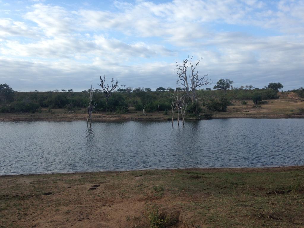 Sweni Lodge 91 Mjejane Kruger Park Hectorspruit エクステリア 写真