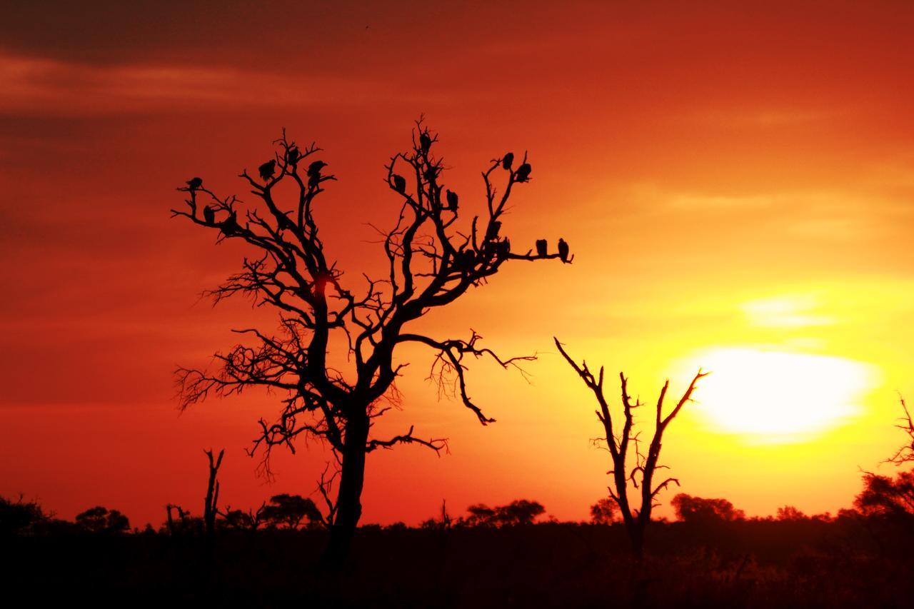 Sweni Lodge 91 Mjejane Kruger Park Hectorspruit エクステリア 写真